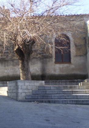 Orotelli, premio “Cambosu” già disponibili 20mila euro 