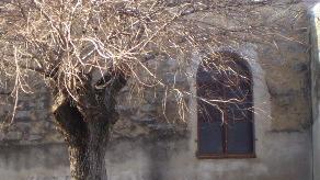 Orotelli, premio “Cambosu” già disponibili 20mila euro