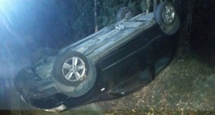 Alghero, auto investe cinghiale e si ribalta: illeso il conducente