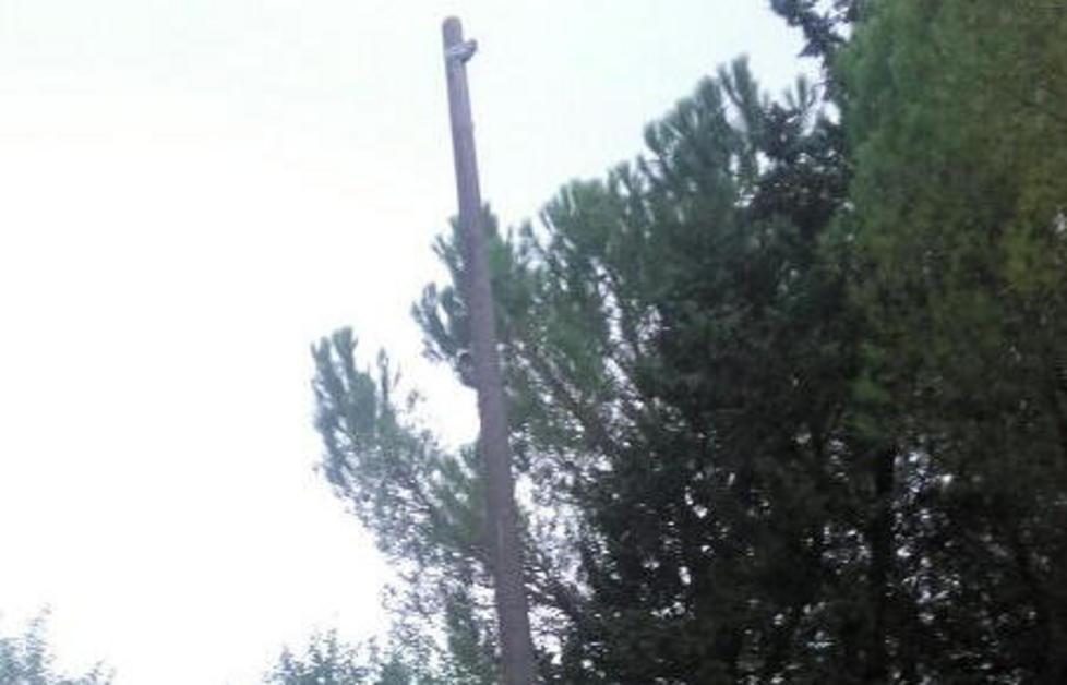 Il palo rischia di cadere, nessuno lo toglie 