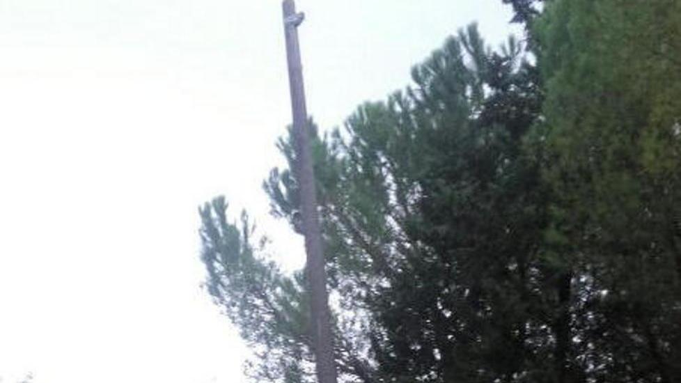 Il palo rischia di cadere, nessuno lo toglie