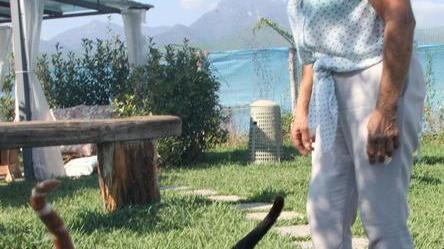 I “Miciottoli” scelto tra i dieci migliori gattili d’Italia