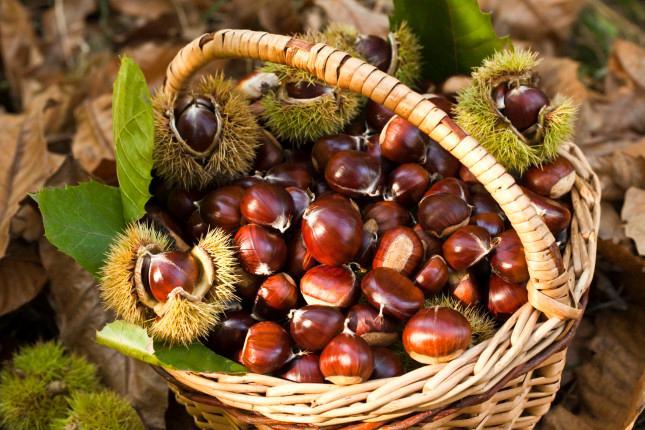 Un cesto di castagne