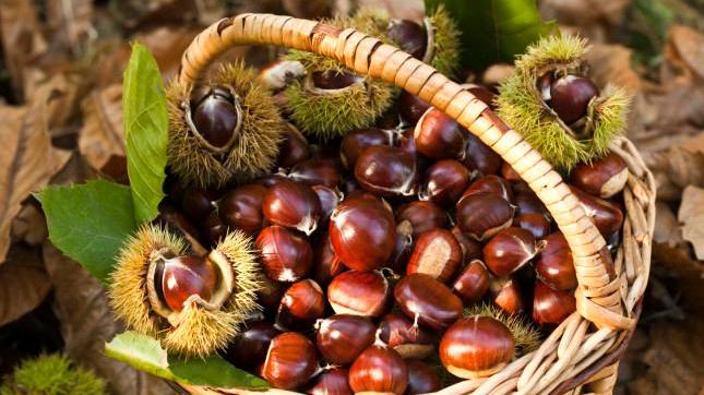 Un cesto di castagne