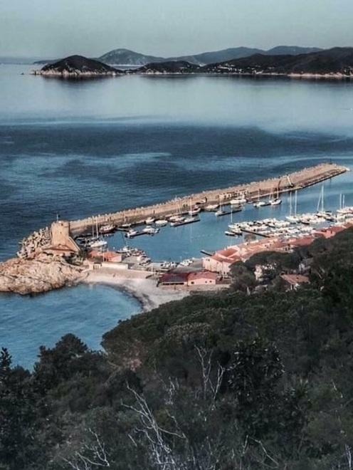«Porto, il concorso di idee arriva tardi» 