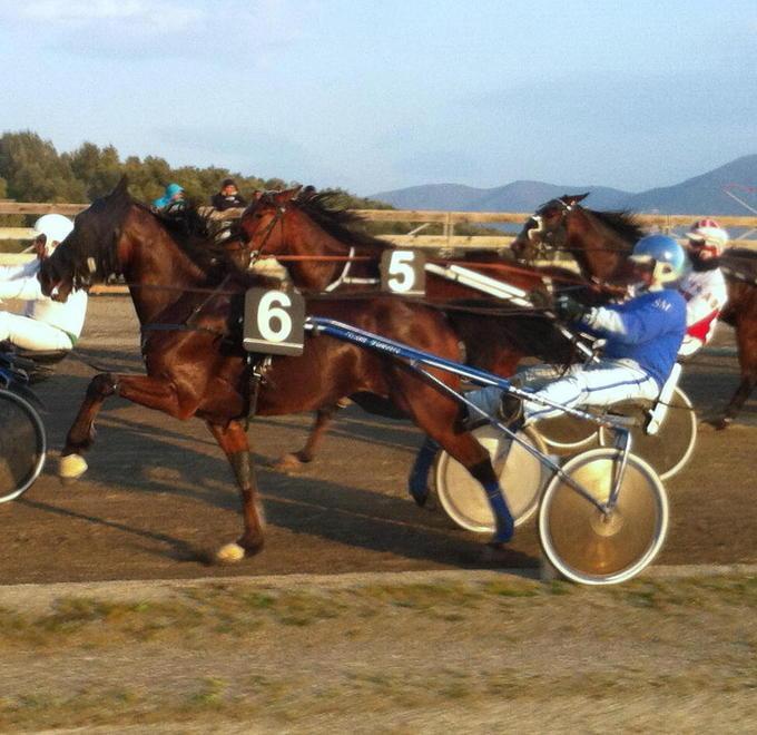 Trotto, lotta a tre nel premio Moraia oggi ai Pini