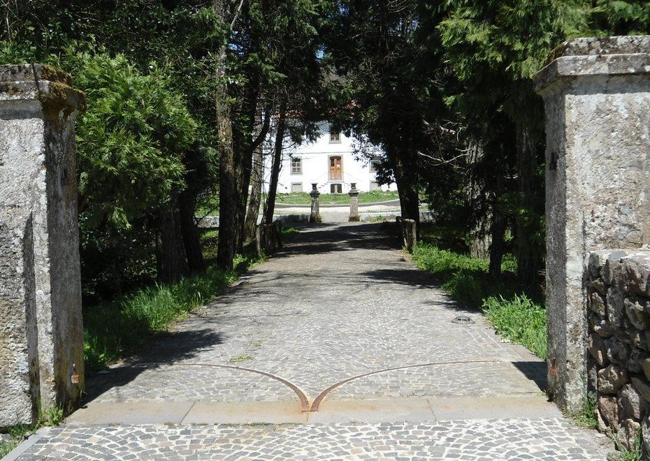 Il percorso di Fressura tra i boschi di Badde ’e Salighes 