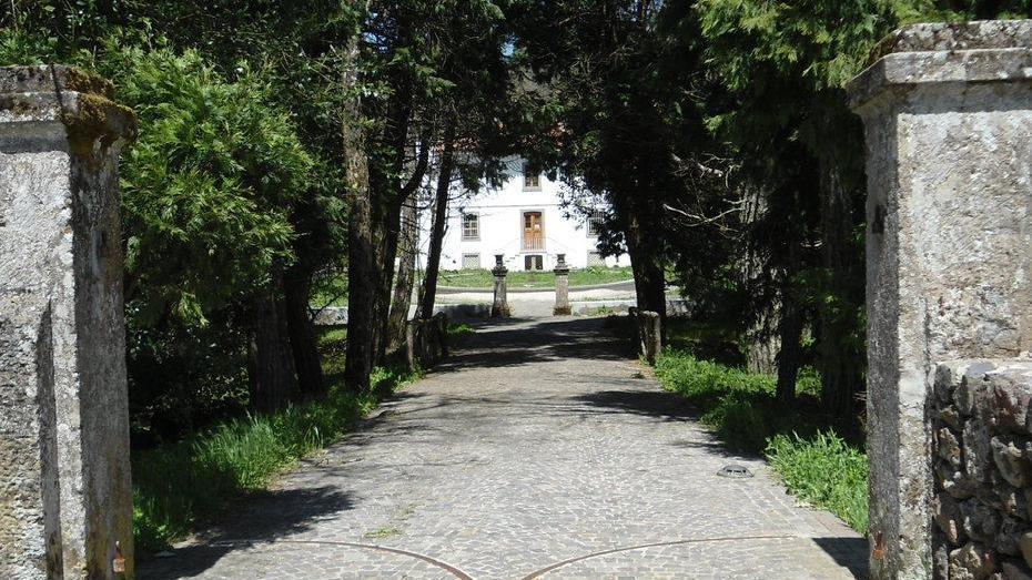 Il percorso di Fressura tra i boschi di Badde ’e Salighes