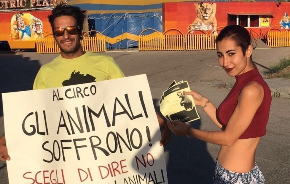 Circo a Sassari, mozione in Consiglio «Limitiamo la presenza» 
