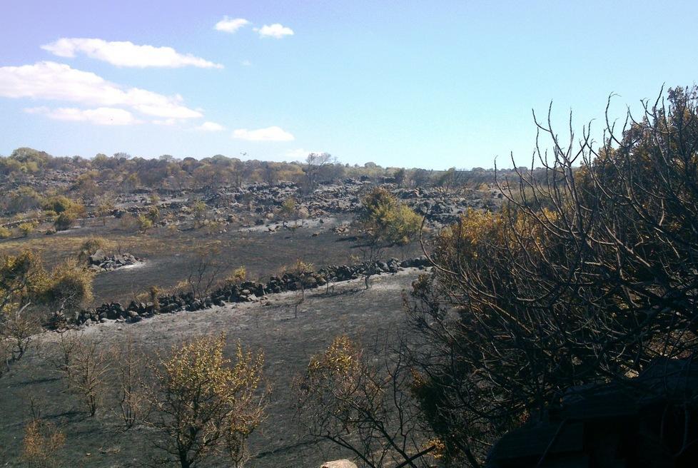 Per i roghi estivi Comune e Coldiretti chiamano la Regione 