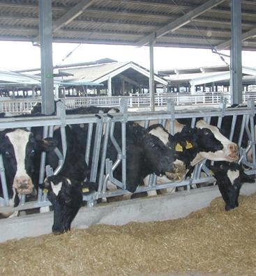 Sbs e futuro dei lavoratori interrogazione di Truzzu 