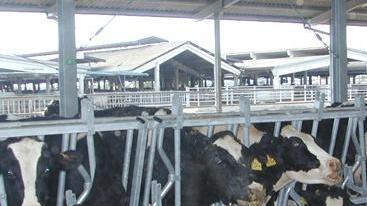 Sbs e futuro dei lavoratori interrogazione di Truzzu