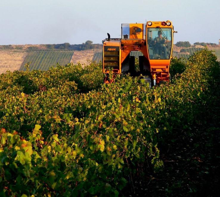 Agricoltura, per le aziende l’aiuto arriva dal Comune 