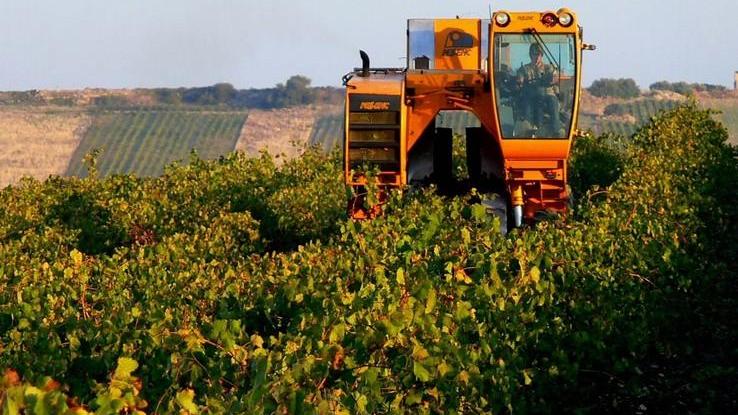 Agricoltura, per le aziende l’aiuto arriva dal Comune