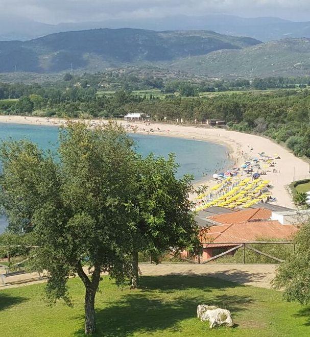 Una variante al Puc per il villaggio della società Saraceno 