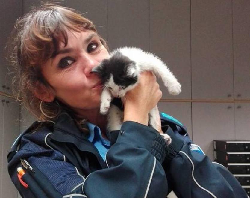 E dal motore caldo spunta il gattino salvato dagli agenti