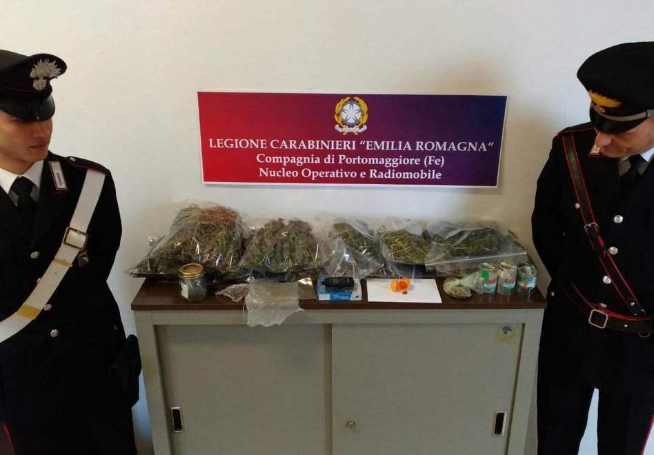Scatole di scarpe alla marijuana 