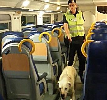 Per sorvegliare i treni alla stazione arriva Dina 