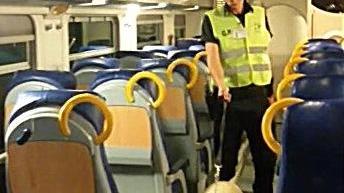 Per sorvegliare i treni alla stazione arriva Dina