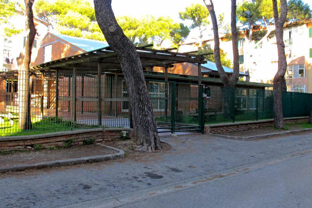 Giardino della scuola materna invaso dai bisogni dei cani 