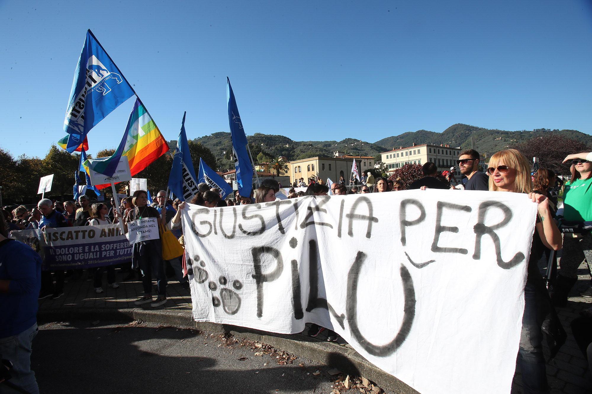 Un momento della manifestazione (foto Nucci)