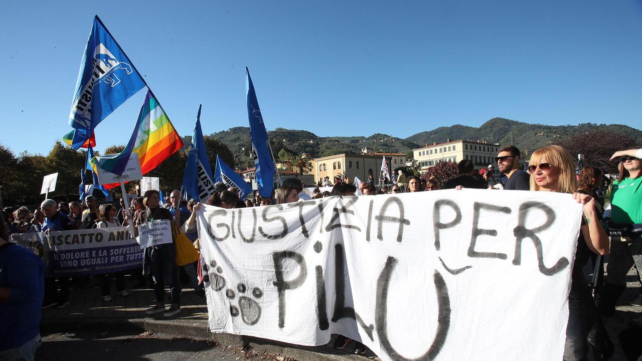 Un momento della manifestazione (foto Nucci)