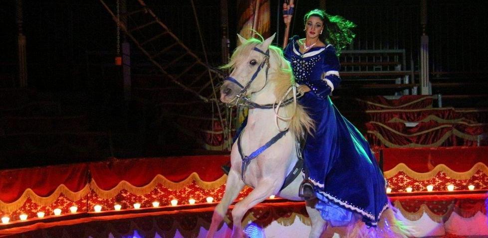 Sassari, al circo lo show va avanti tra la rabbia e le proteste 