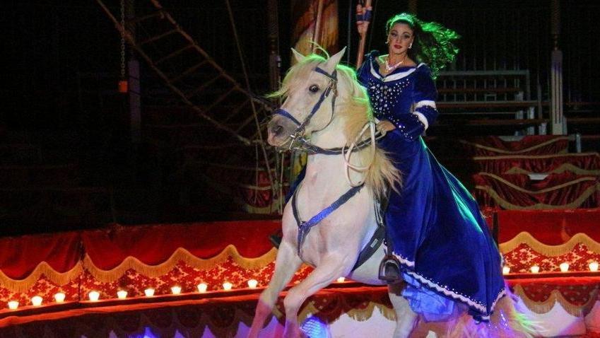 Sassari, al circo lo show va avanti tra la rabbia e le proteste