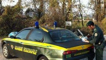 Corso per guardie ecozoofile