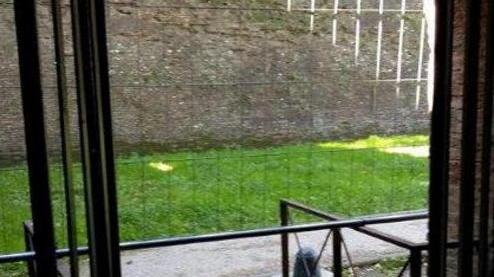 Controlli serrati con qualche pecca