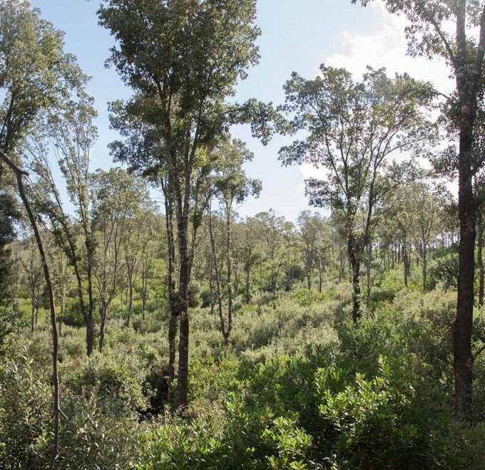 Marganai, il pm condanna i responsabili 