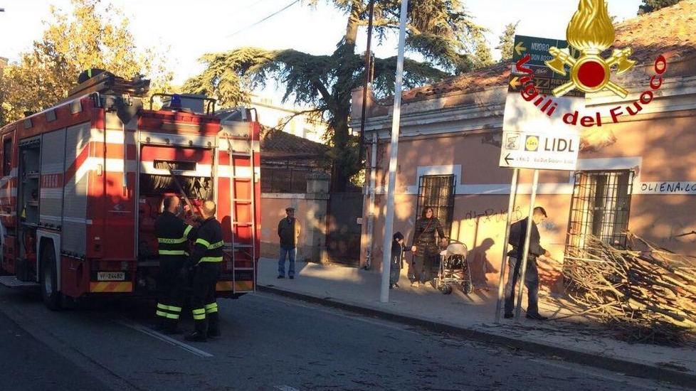Albero cade su un’auto, nessun ferito