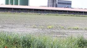 Biogas, è in arrivo un maxi-impianto
