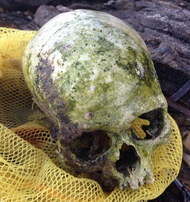 Giallo a Stintino, ritrovato un teschio nelle acque della Pelosa 