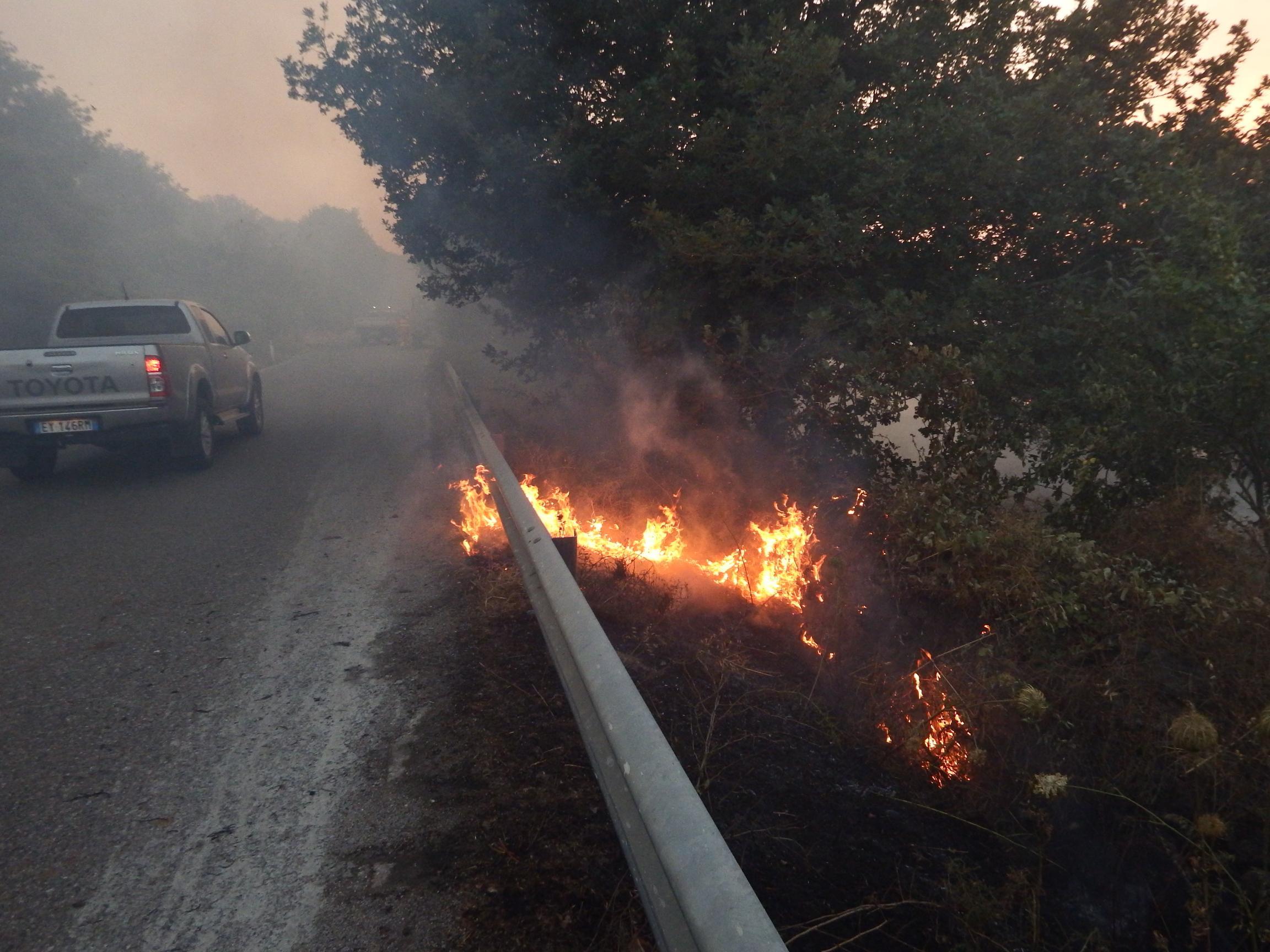 Il fuoco ha lambito la carreggiata