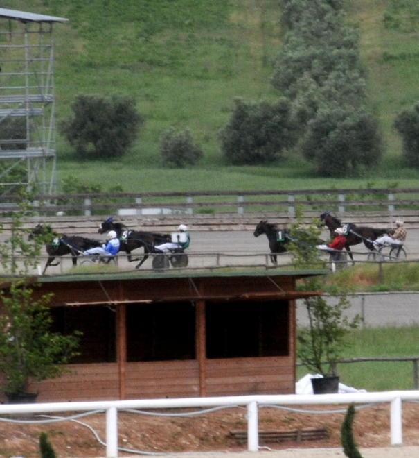 Idea: cinema e attrazioni all’ippodromo dei Pini 