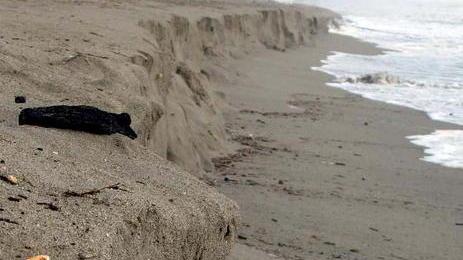 Tre università al lavoro insieme per salvare la costa