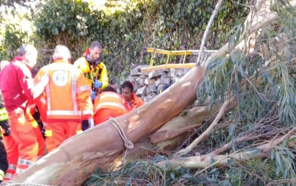 Cade da quattro metri tagliando dei rami 