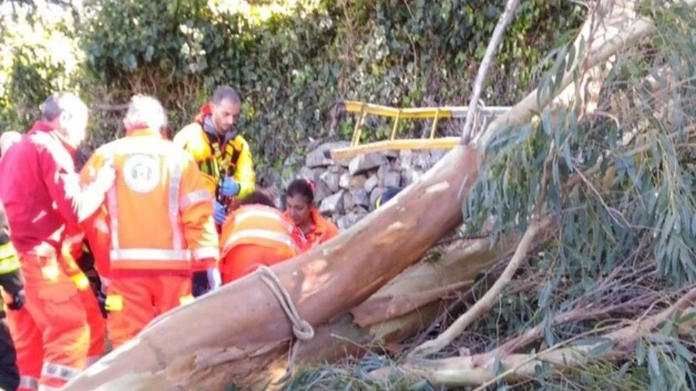 Cade da quattro metri tagliando dei rami