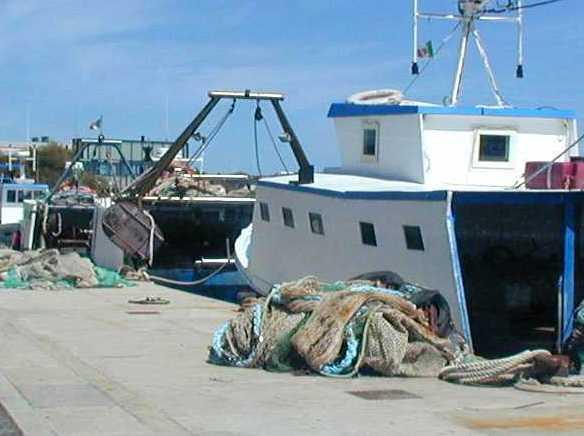 Un milione e mezzo a pesca e acquacoltura 