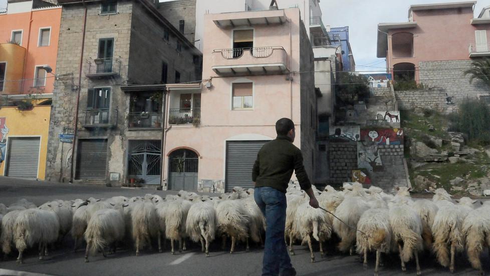 La Regione finanzia quattro Gal In arrivo fondi per 12 milioni 