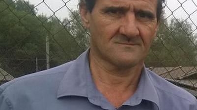 Nel rifugio modello 107 cani e 51 cuccioli