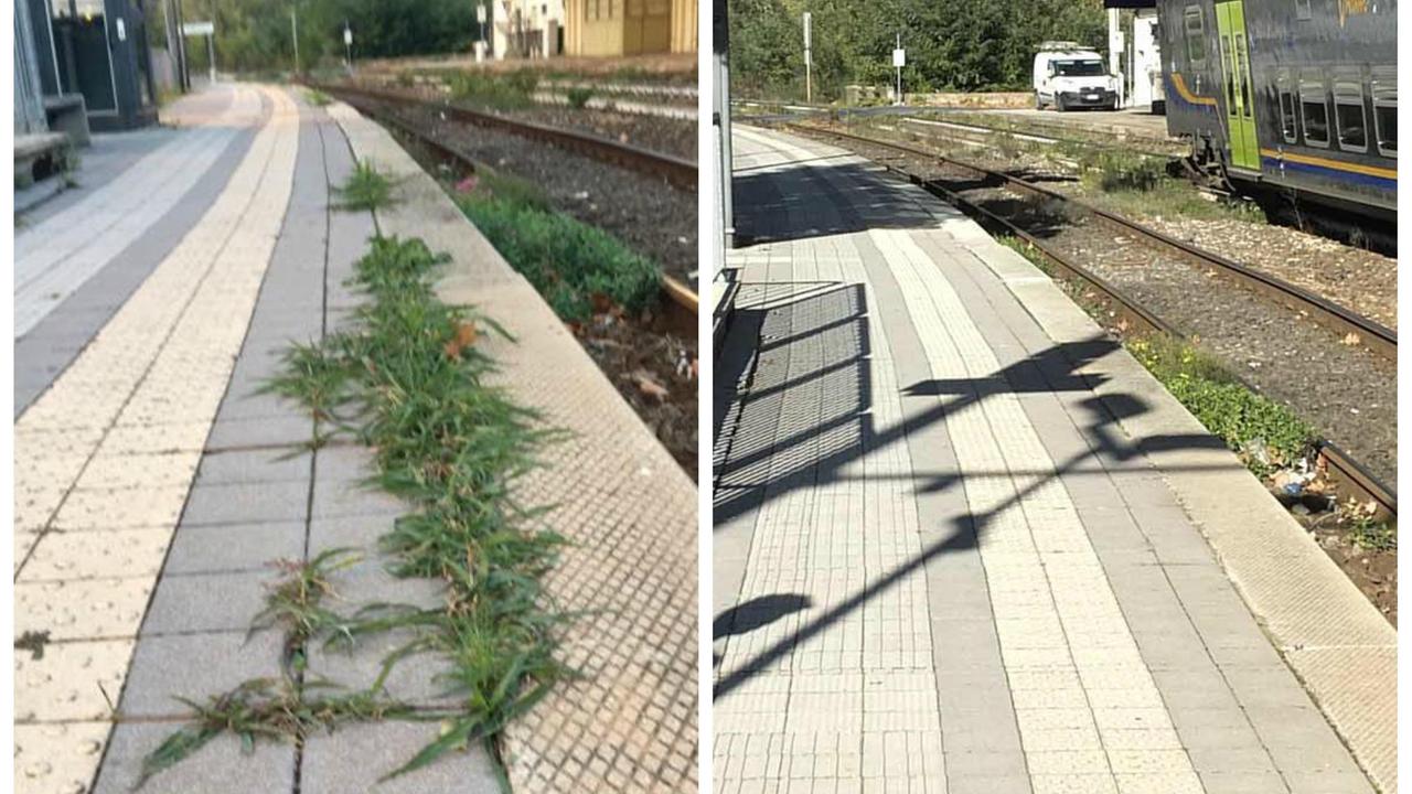 Prima e dopo la pulizia degli operai del comune di San Giuliano