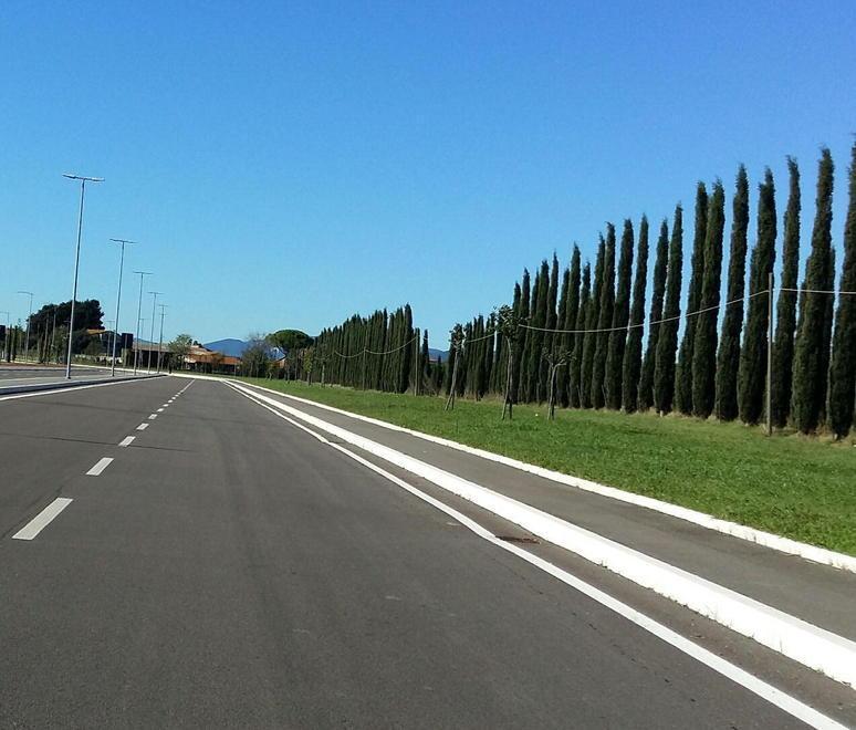 Rally notturni e sgommate 