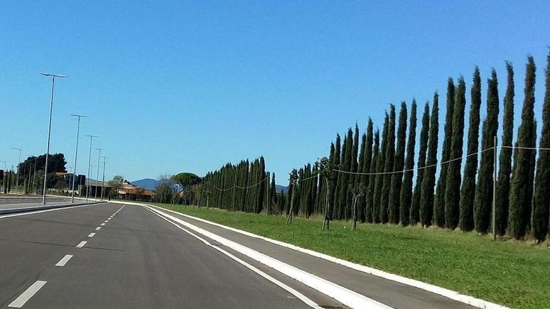 Rally notturni e sgommate