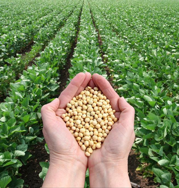 L’industria alimentare, flagello che devasta il pianeta 