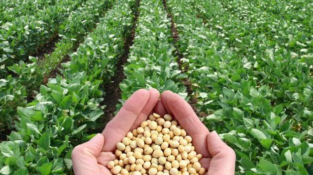 L’industria alimentare, flagello che devasta il pianeta