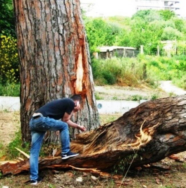 Riaperta la procedura per la gestione di Fundone