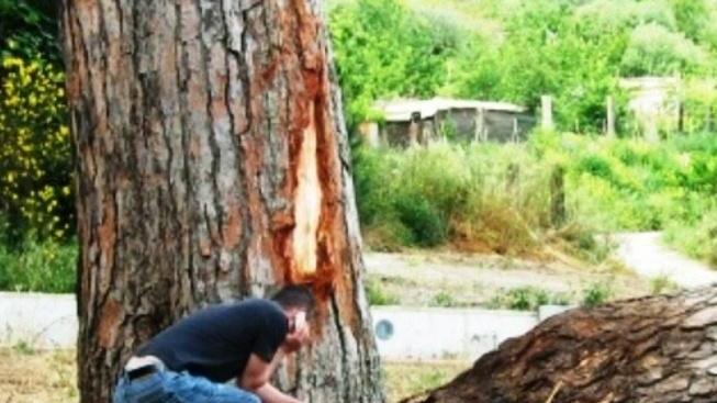 Riaperta la procedura per la gestione di Fundone
