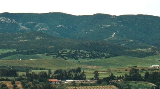 Per una deviazione si perde nel Grighine Lo salva la Forestale